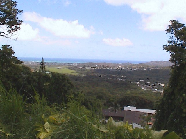 Oahu Pali Highway Scenic View 2