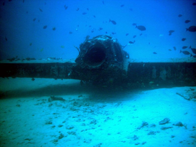 Waikiki Underwater Airplane 1