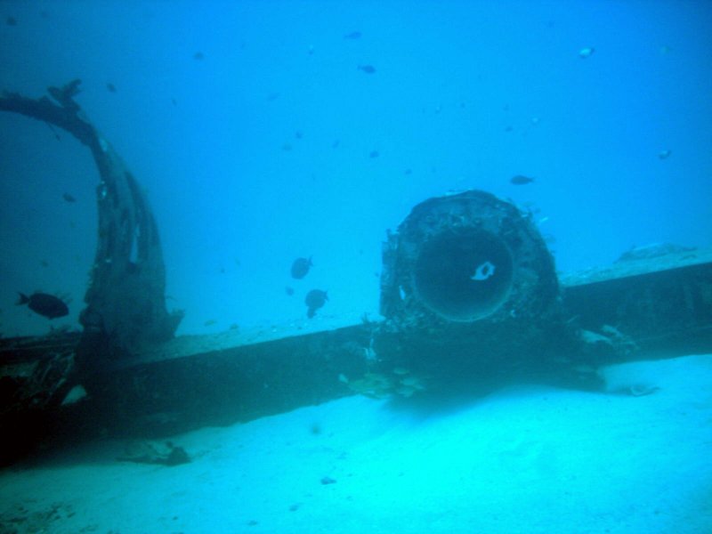 Waikiki Underwater Airplane 3