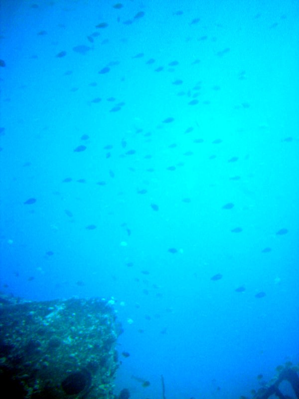 Waikiki Underwater Shipwreck B 7