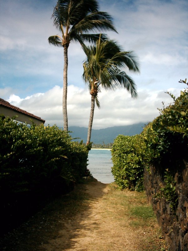Oahu Kailua Beach Access