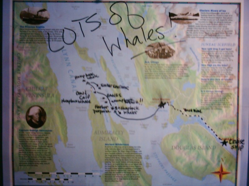 Juneau Whale Watching Map