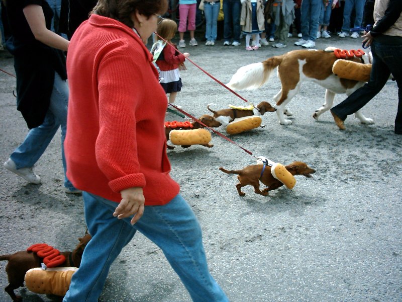Skagway Independence Day Parade 20 Wiener Dogs