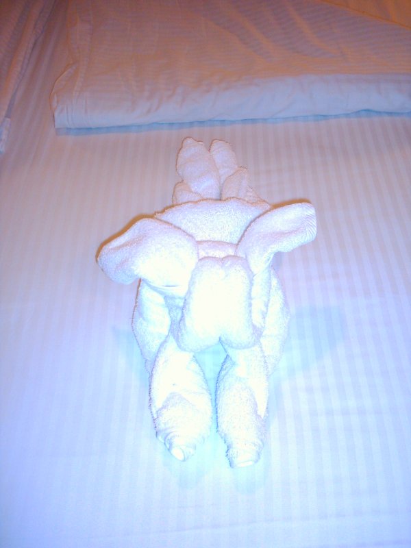 Skagway Norwegian Pearl Towel Bunny