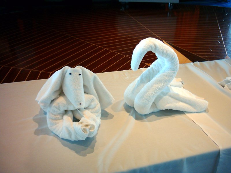 British Columbia Norwegian Pearl Towel Folding Dog, Swan