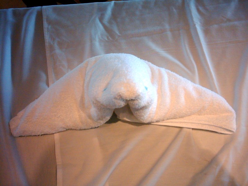 British Columbia Norwegian Pearl Towel Folding Seal