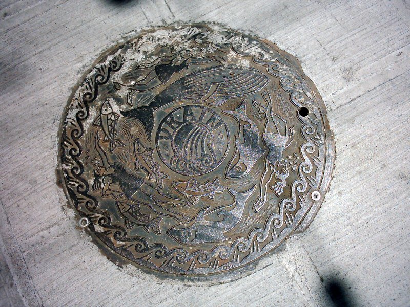 Seattle Capitol Hill E Olive Way Drain Cover