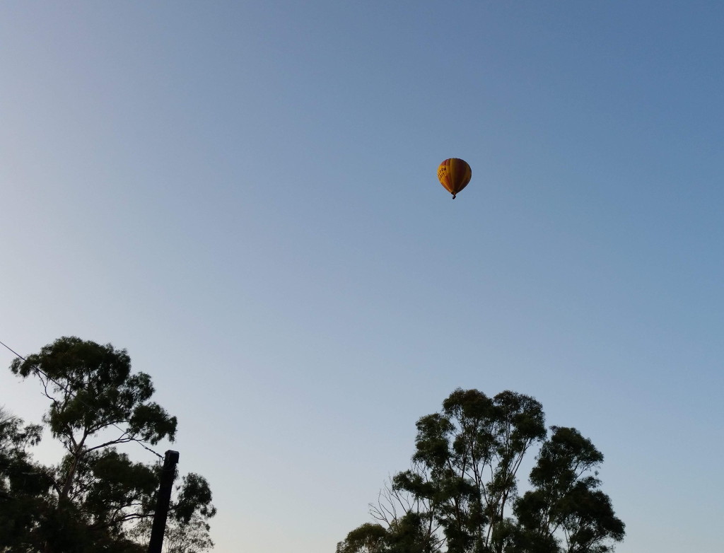 Hurstbridge hot air balloon