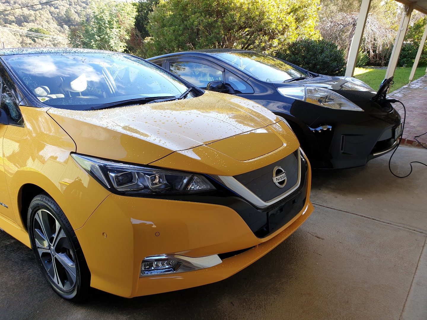 Glass Wings photos Hurstbridge Nissan Leaf cars
